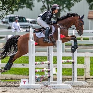 Meet your Posher, Maya